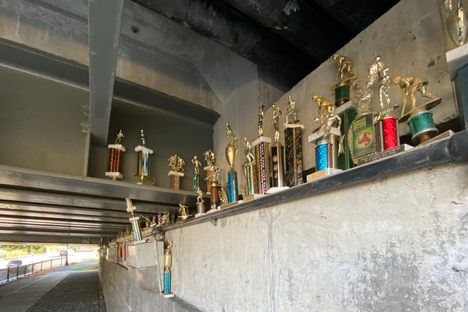 The Trophy Room Project
