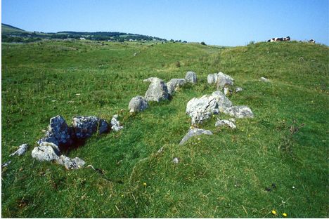Primrose Grange in Ireland, where researchers found a likely parent-child combo among the buried.