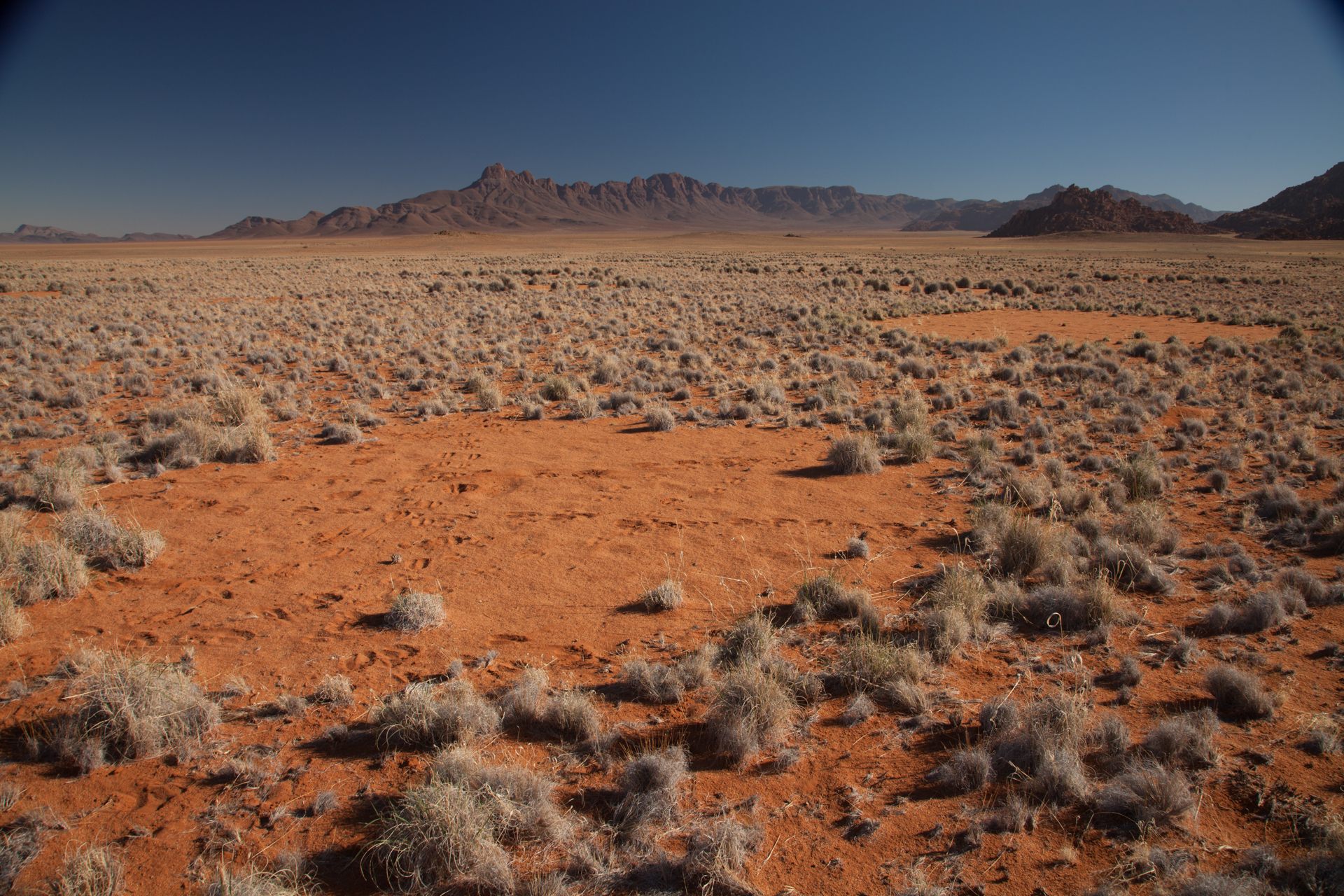 Namibia's strange fairy circles: Scientists finally crack mystery behind  baffling phenomenon