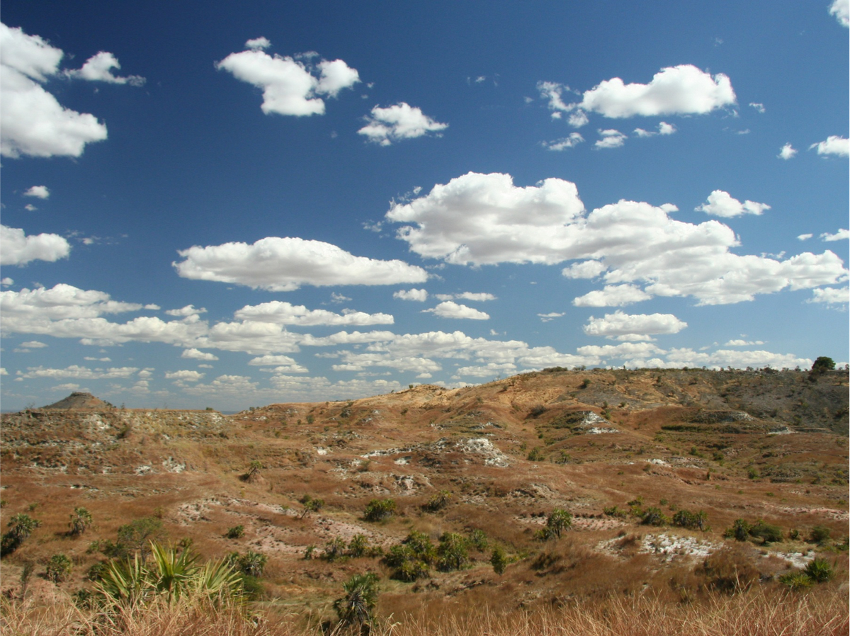 Madagascar was, and remains, a hotbed of biodiversity.
