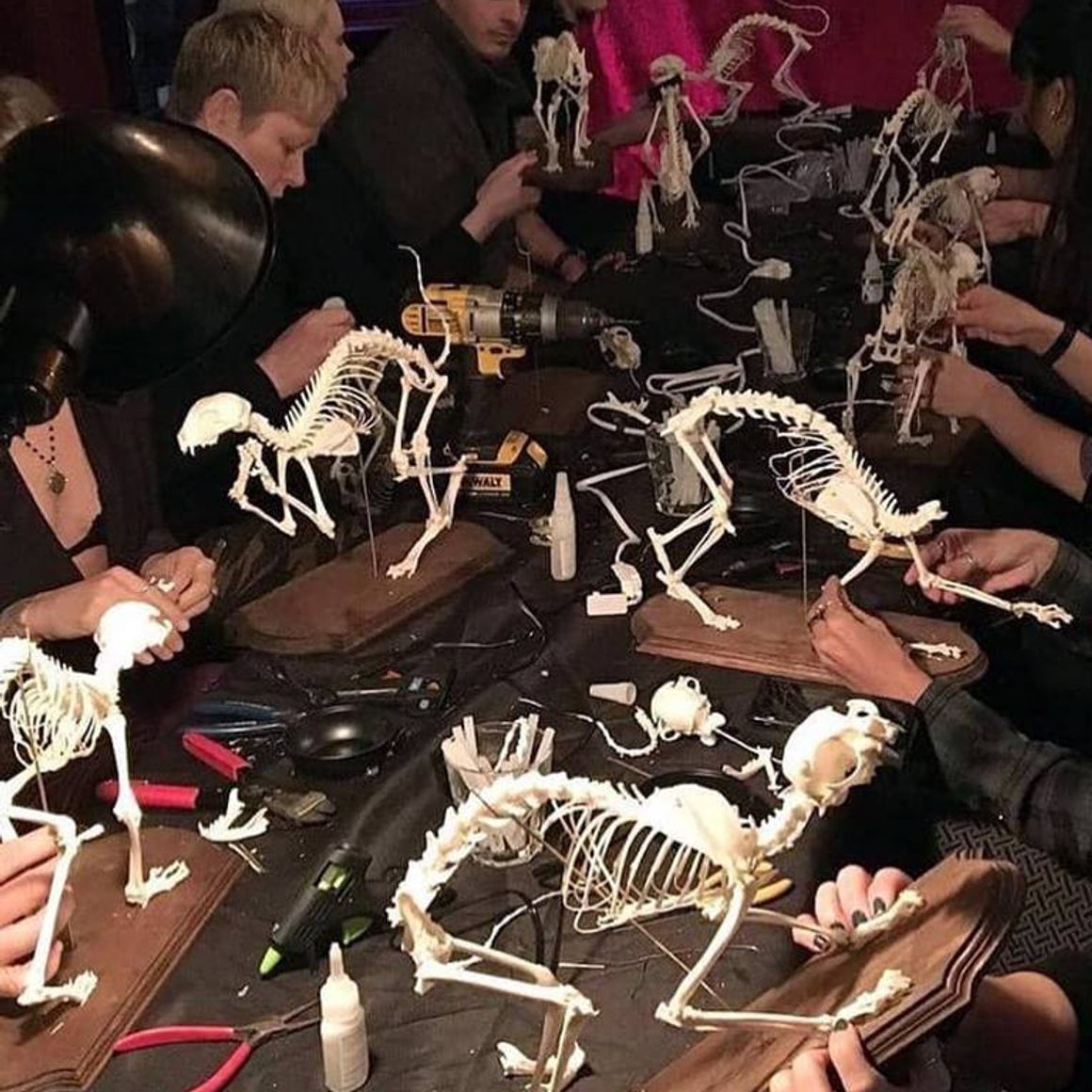 Students working on their skeletons. 