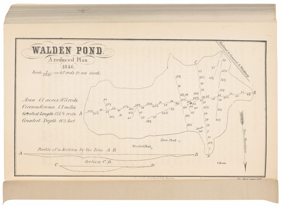 Map of Walden Pond from <em>Walden; or Life, in the Woods</em>, by Henry David Thoreau.