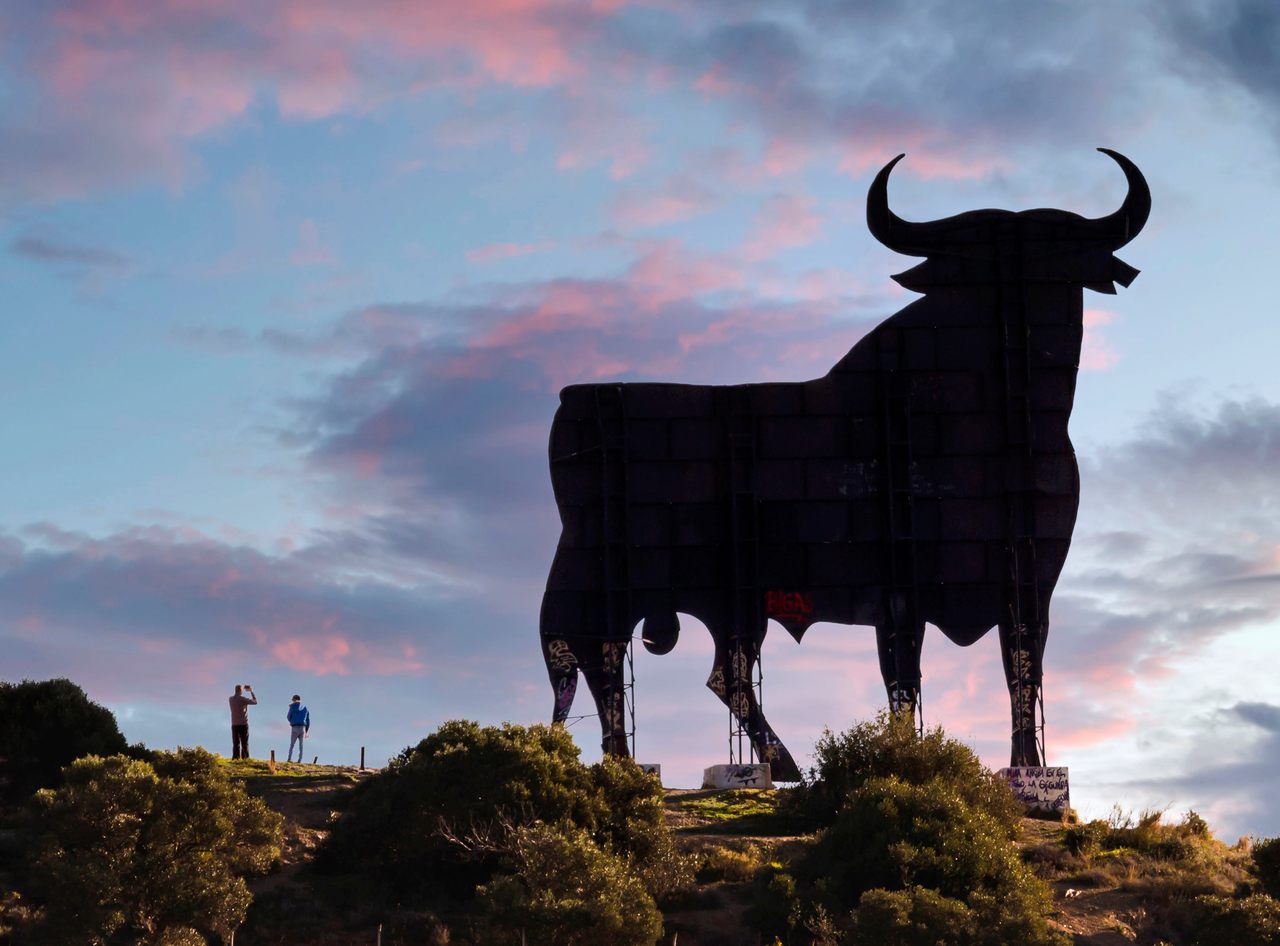 直到20世纪90年代，当广告牌在西班牙被禁止时，这些公牛都被涂上了Veterano Osborne白兰地的名字。该公司删除了这些文字，并成功地将这些巨大的公牛视为艺术品。