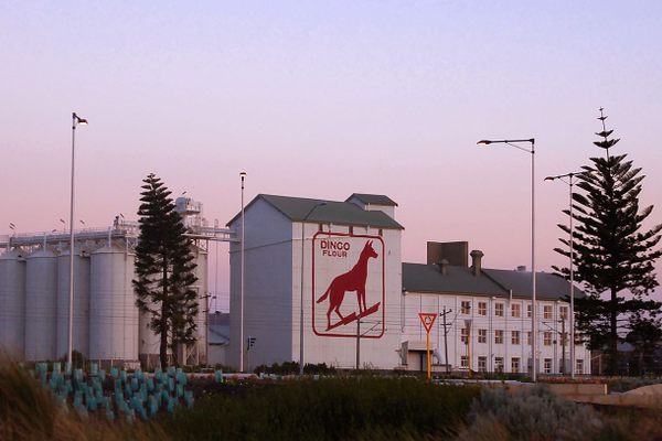 The Dingo Flour sign on the side of a silo. 