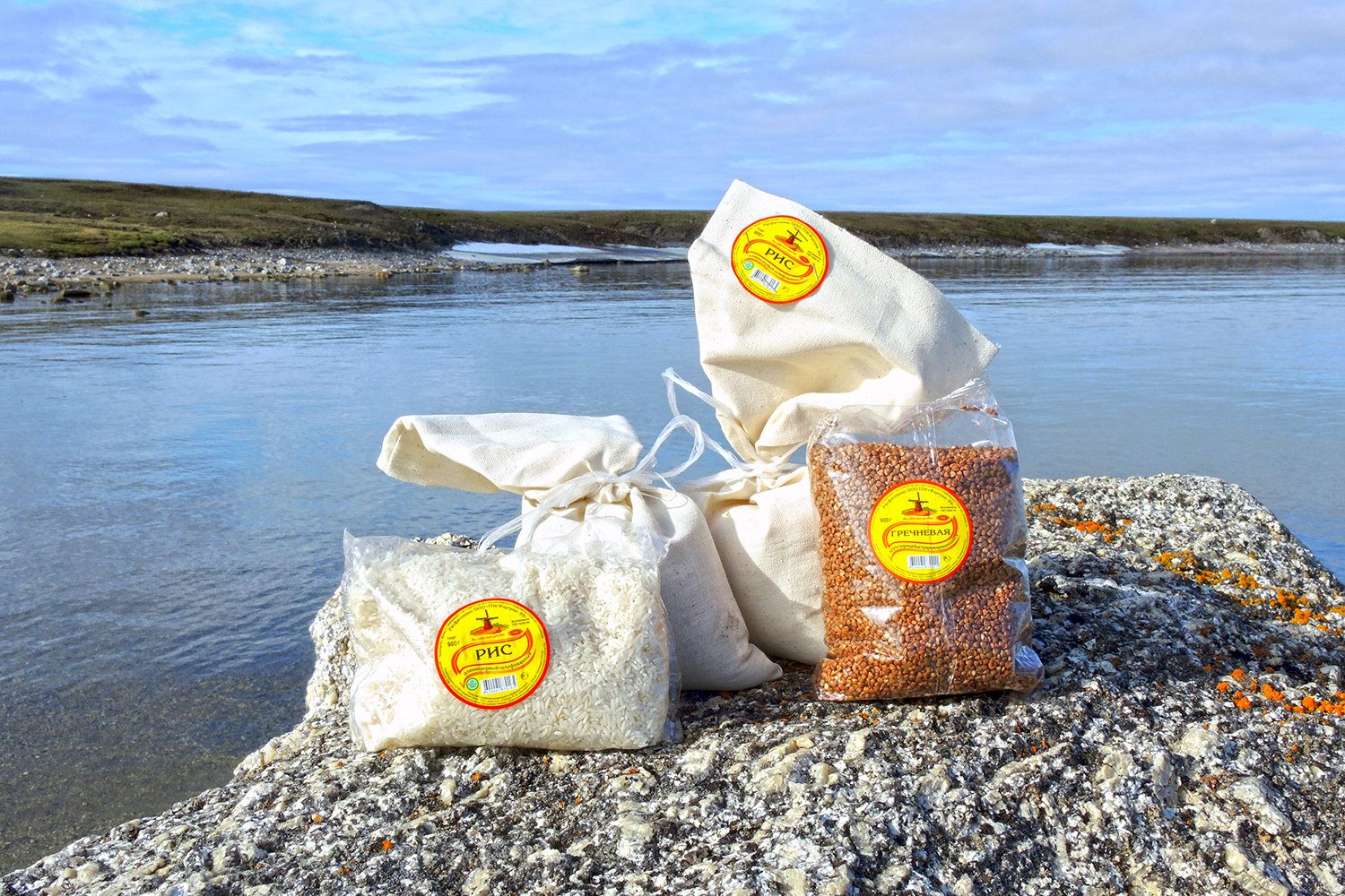 Grains stored beneath the permafrost stayed fertile over years.