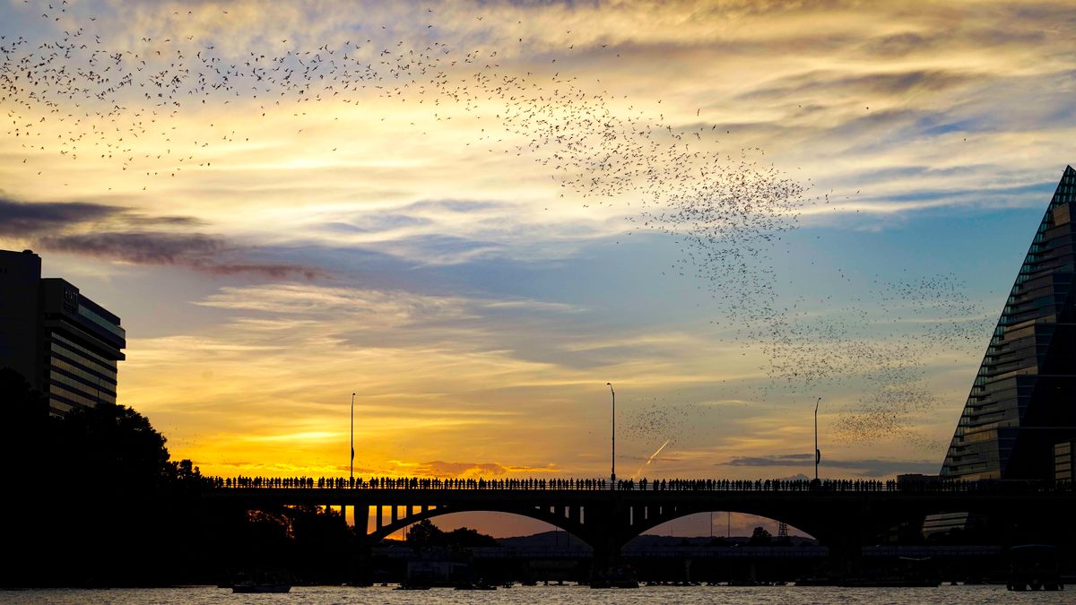 The twilight hours provide prime viewing over Lady Bird Lake in opportunities in Austin.