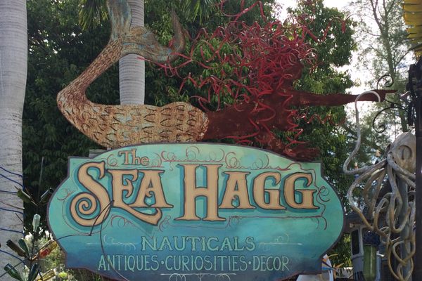 The Sea Hagg.