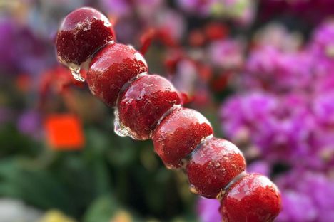 Candied Hawthorn