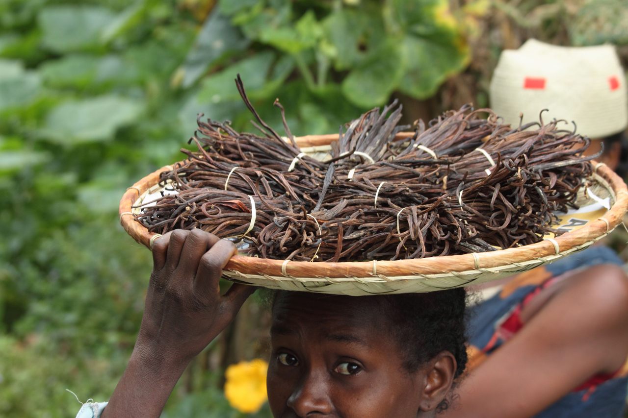 A Malagasy woman selling vanilla. 