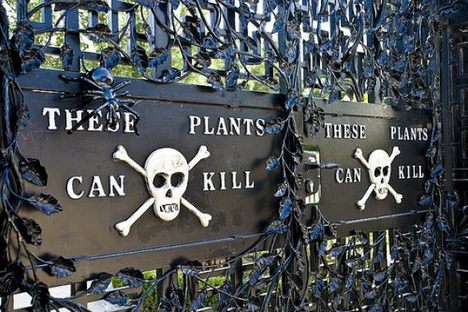 Atlas Obscura's Ten Most Popular Places for 2011