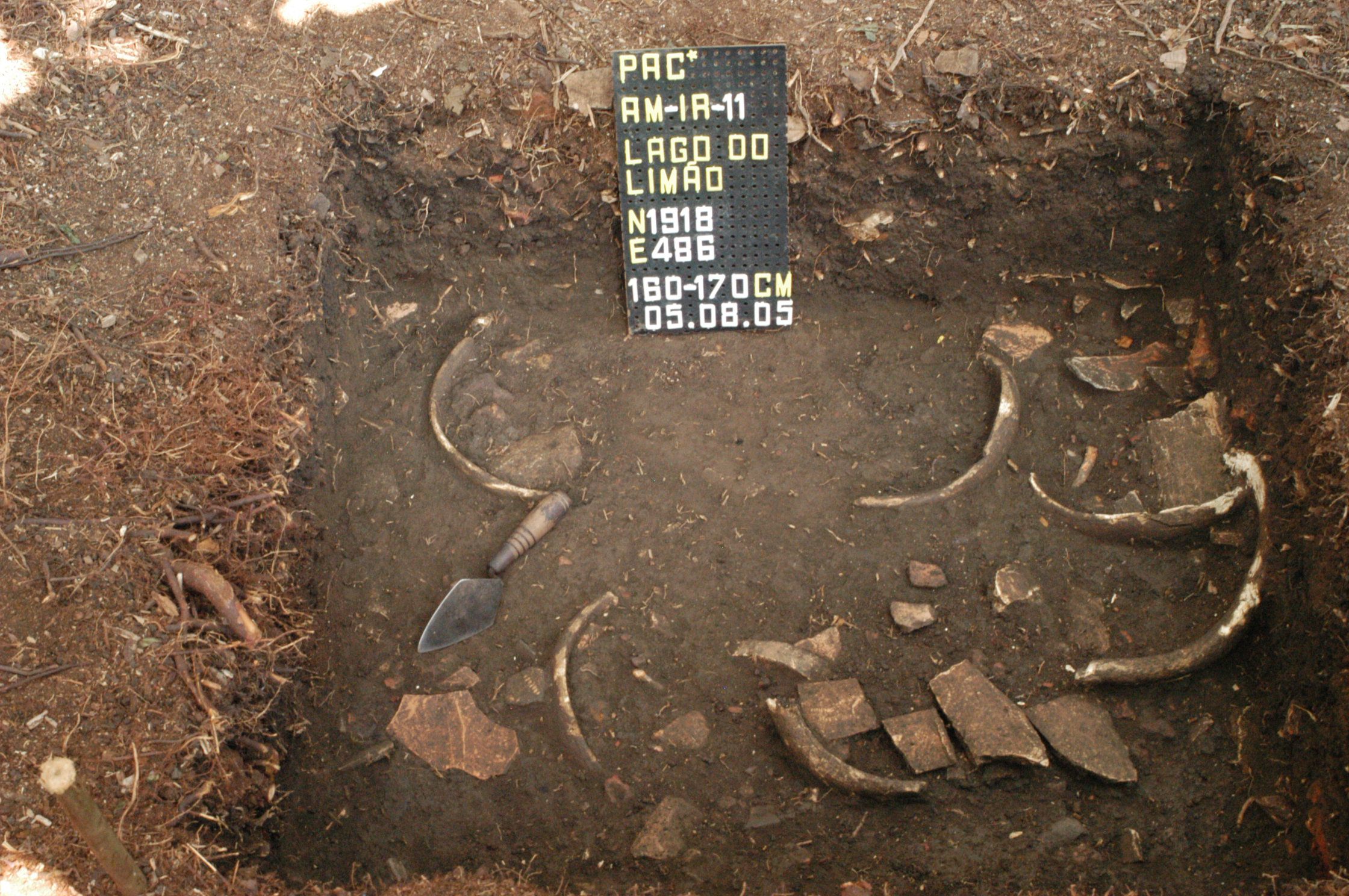 Ceramic concentration in anthropic dark soil matrix, Lago do Limão site. 