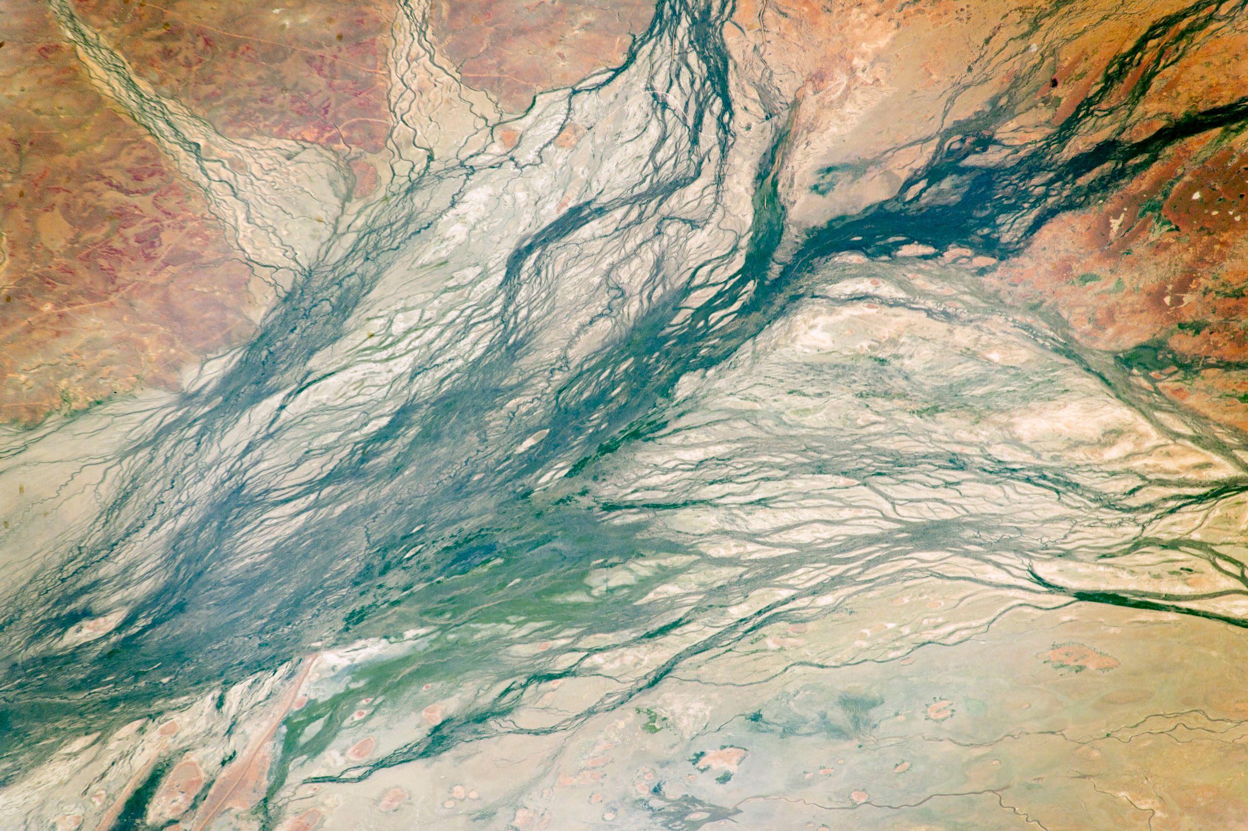 Thousands of years ago, Aboriginal people followed water sources across the country, bringing their languages with them.