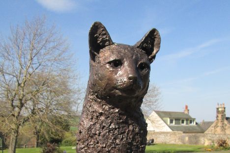 Dudley the Cat