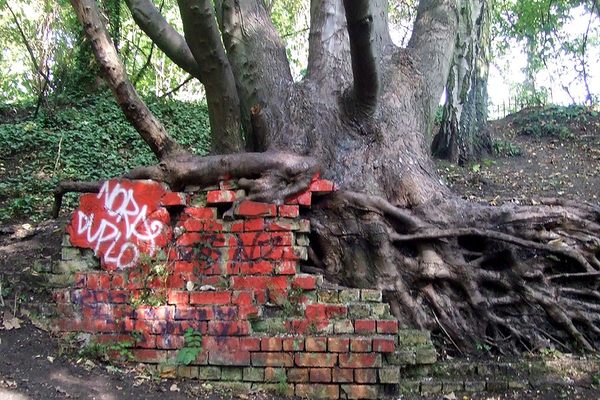 Parkland Walk