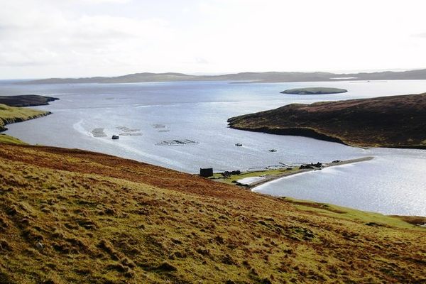 Shetland’s major industry of fish farming is present near the ayres.