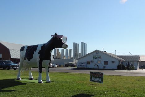 Lady LeWinDa Milkzalot beside Lowville Producers Dairy.