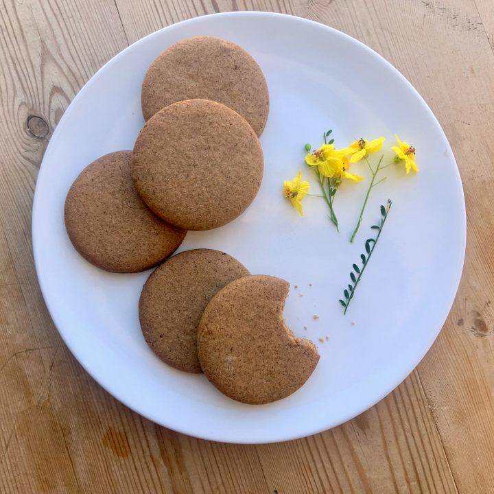 Need Help - Accidentally exposed wood biscuits on table