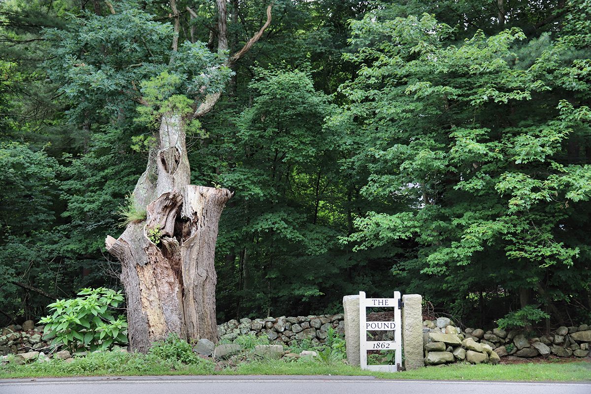 New England's covered bridges, white churches, town greens, and stone walls are iconic. Its pounds? Not so much.