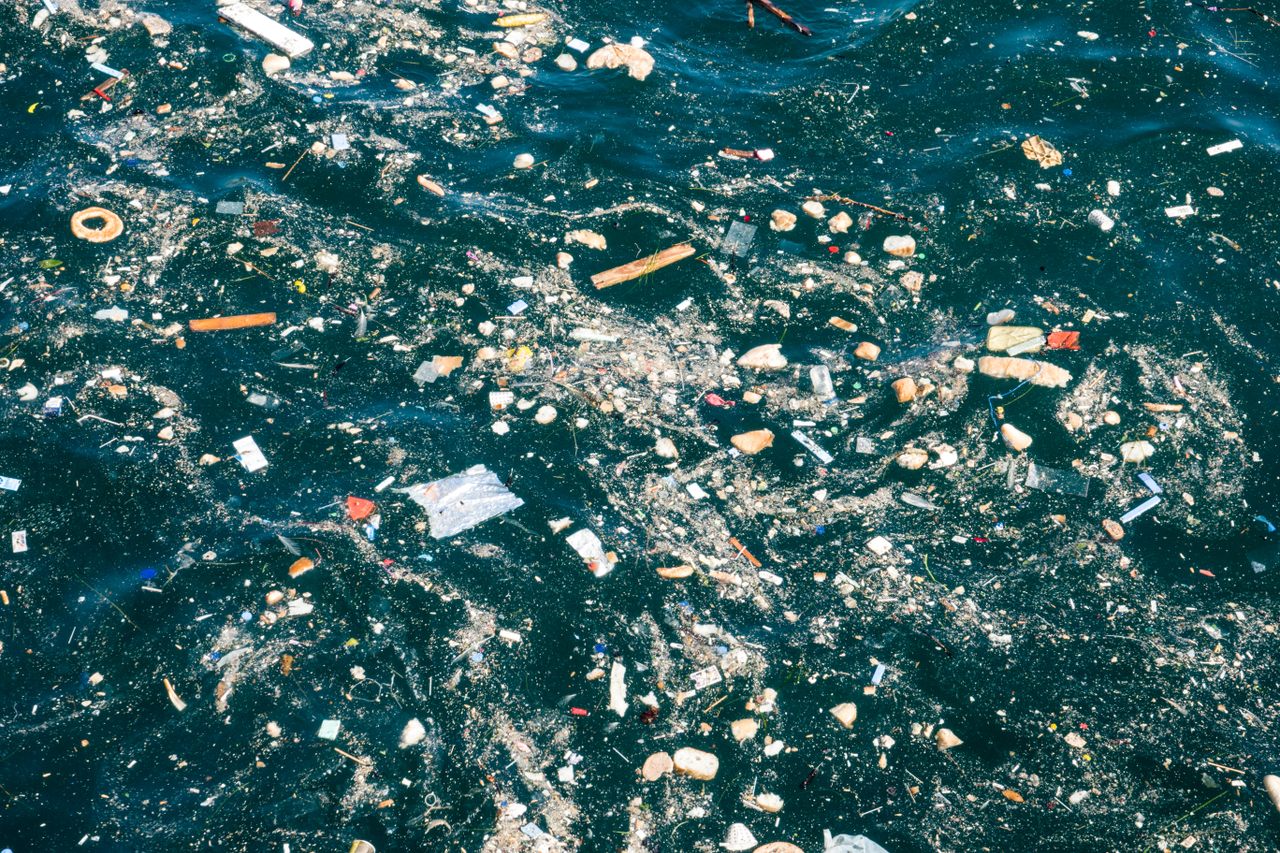 Plastics appear in water and on shorelines all over the world. Microplastics—shards less than five millimeters long—are even turning up in the cases that some aquatic larvae make to protect themselves.