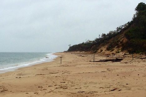 On the Shores of New York's Mysterious Island of Animal Disease