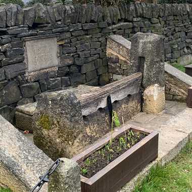 Green Moor Village Stocks