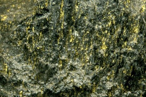 Gold ore from Witwatersrand