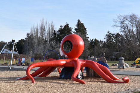 The octopus slide.