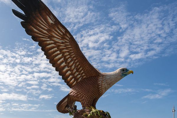 The Eagle