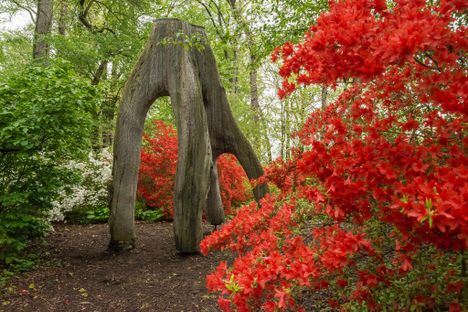 Enchanted Woods at Winterthur Gardens