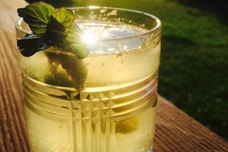 Switchel is also called haymaker's punch and harvest beer.