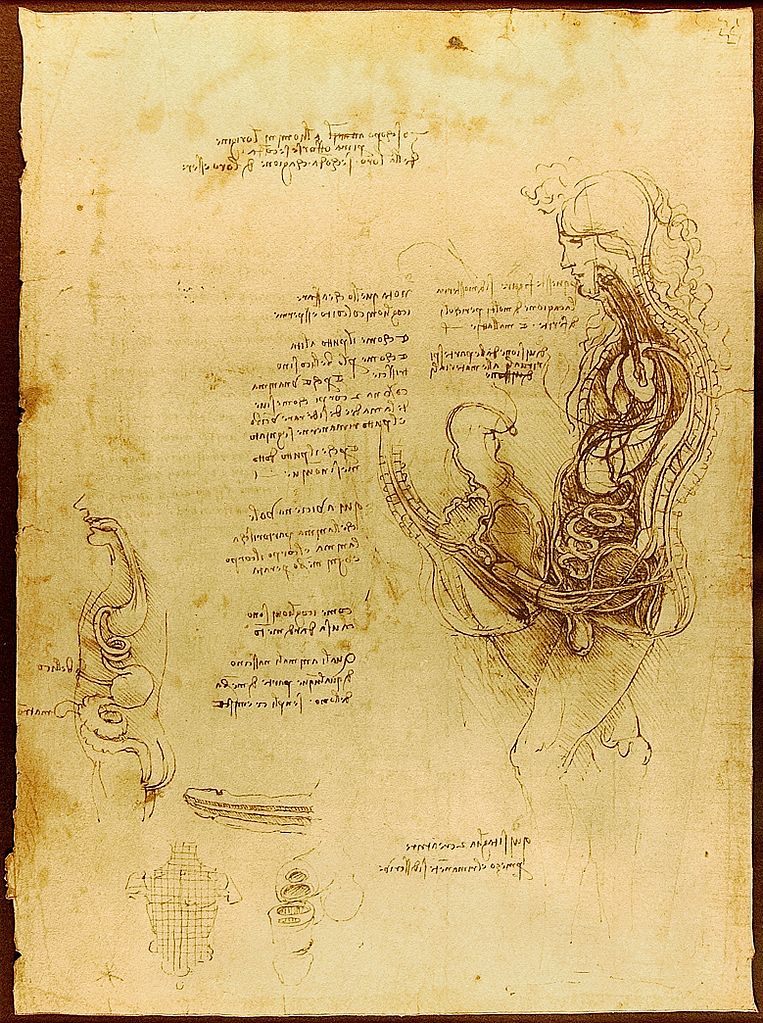 A hemisection of a man and a woman in coitus, Leonardo da Vinci., c. 1492.