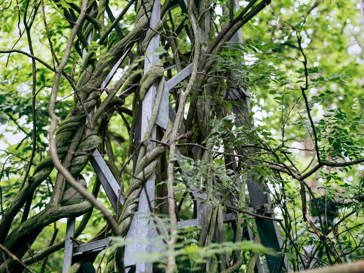 Plants and rides sometimes merge at Ferrin's park. Here, wisteria envelops the supporting structure of a slide.