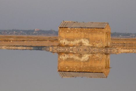 Sambhar Lake