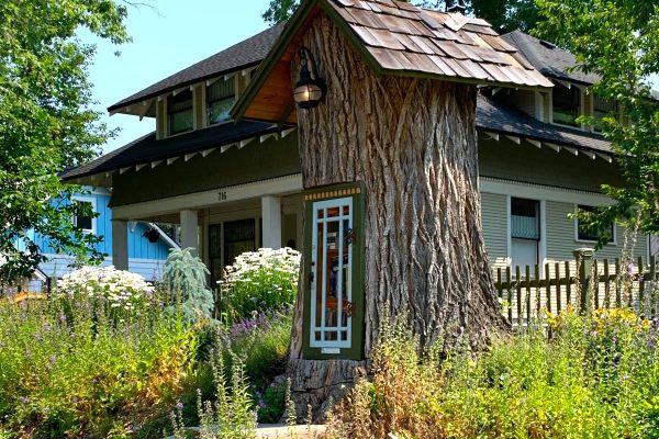 If you happen to be in Coeur d'Alene, Idaho, grab a book for your next hike from this little free library inside a 110-year-old black cottonwood tree.