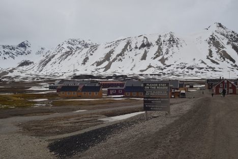 Ny-Ålesund