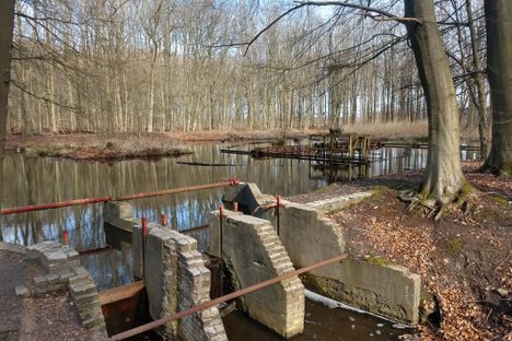 Waterloopbos 