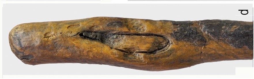 The business end of a 170,000-year-old tool. 