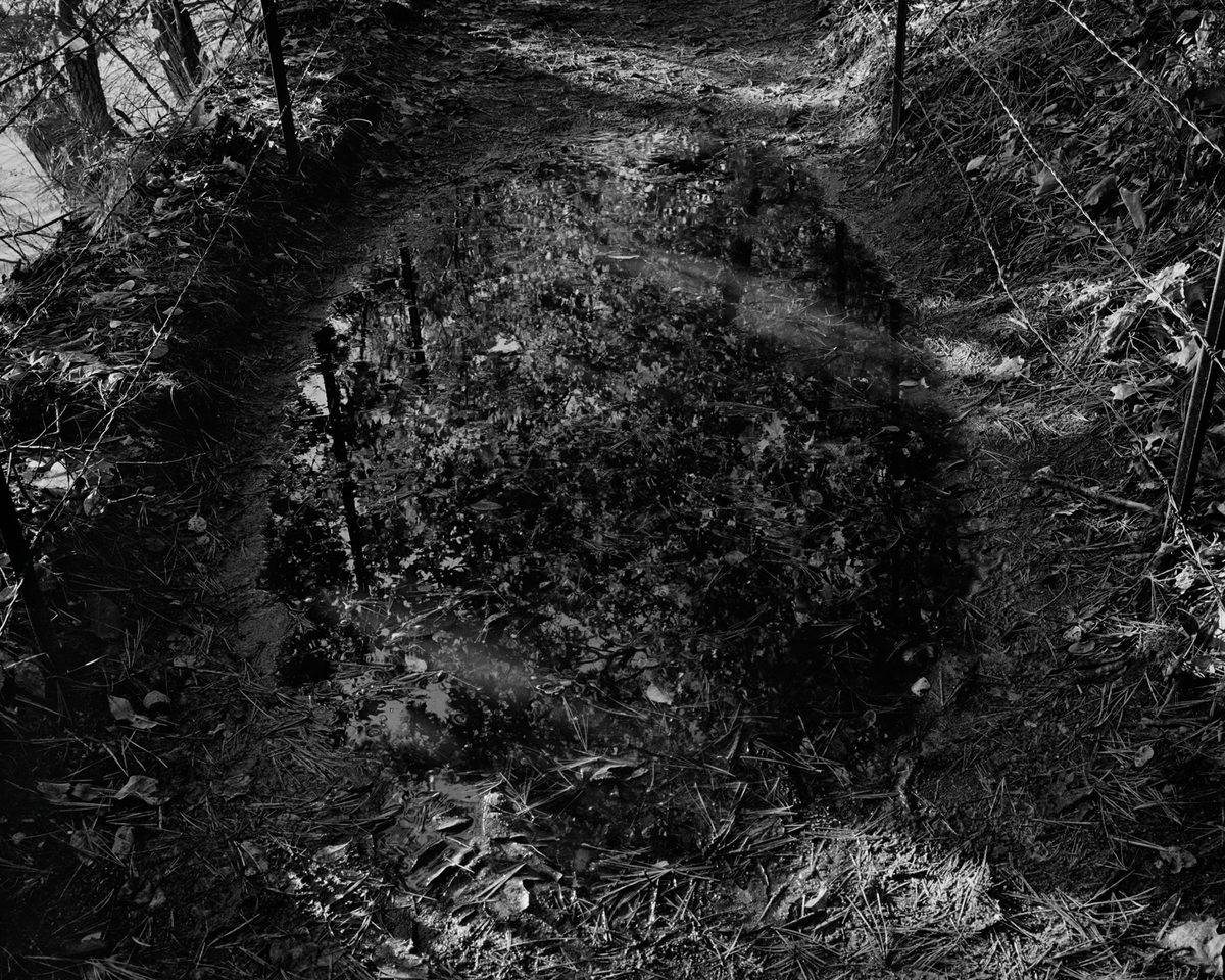 A puddle on a Walden path.