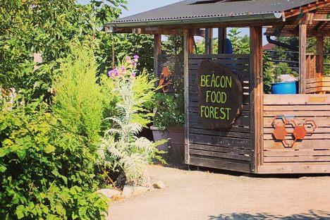 Beacon Food Forest