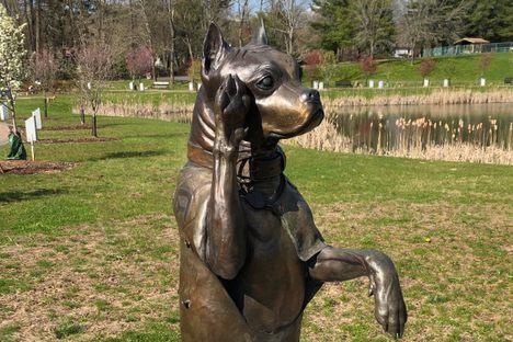 Sergeant Stubby giving a salute.