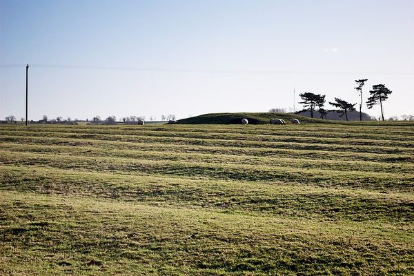 The ridges and furrows formed on historically strip farmed land.