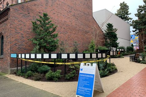 John Callahan Garden