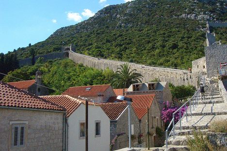 Walls cut through the vegetation in Ston. (Saskia van de Nieuwenhof/Flickr)