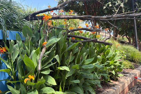 “Native flowers soften a landscape shaped by commerce, engineering, and repeated reinvention.”