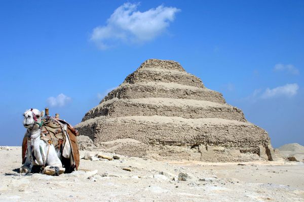 The Djoser Pyramid (4,700 years old) and a camel (age unknown). 