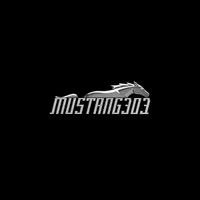 Profile image for mustang303