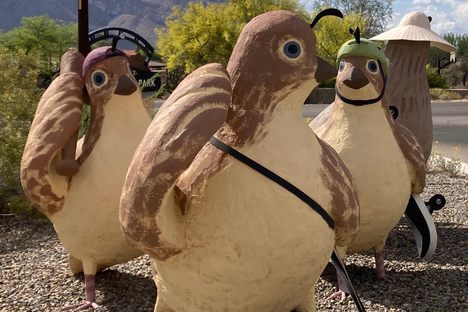 Quail Trail