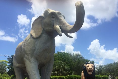 Animal sculptures