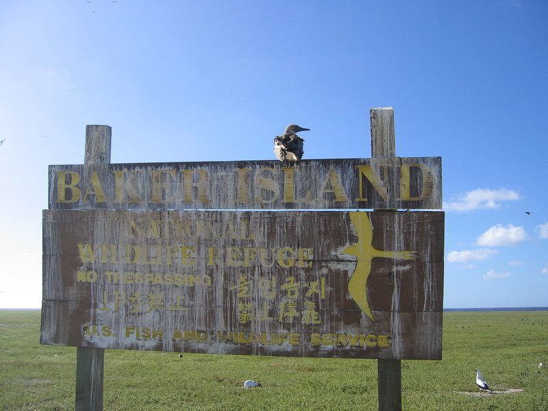 A seabird sits on a Baker Island sign.