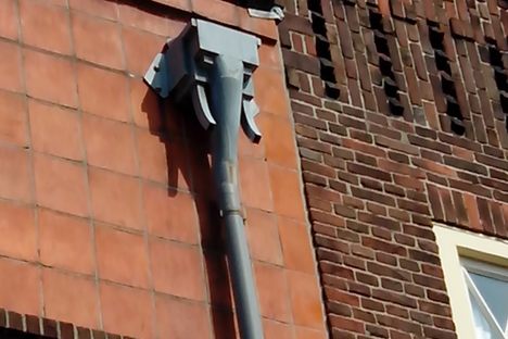 The elephant drainpipe.